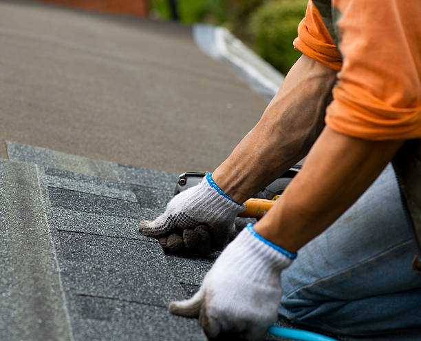 Best Shingle Roofing Installation  in Columbia, KY