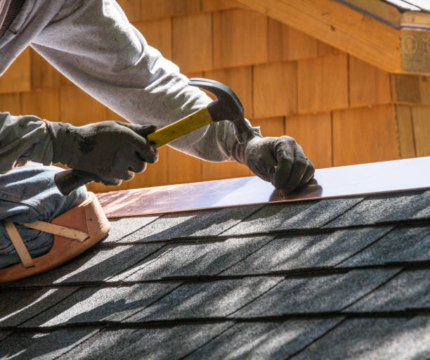 Roof Gutter Cleaning in Columbia, KY